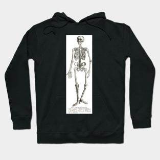 The Human Skeleton, A 19th Century diagram Hoodie